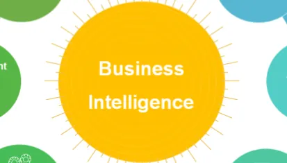 Business Intelligence (BI) & Analytics 2025